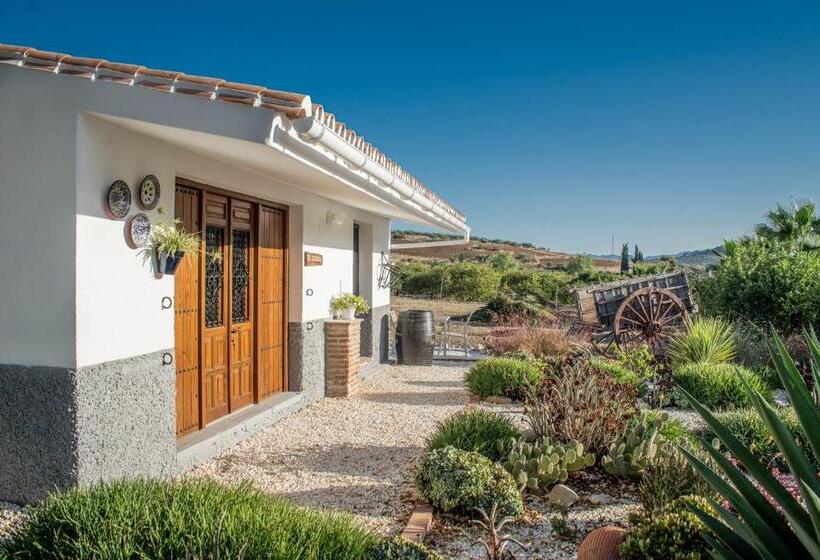 带1个卧室带花园景观的公寓, Finca El Limonar