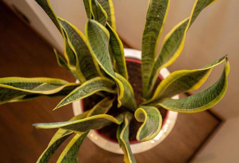 آپارتمان 1 خوابه, P54 Apartment