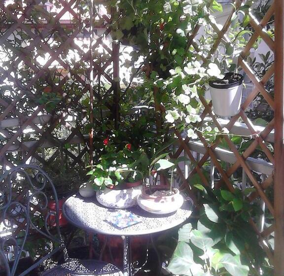 اتاق استاندارد یک تخته با سرویس بهداشتی مشترک, Central Art House