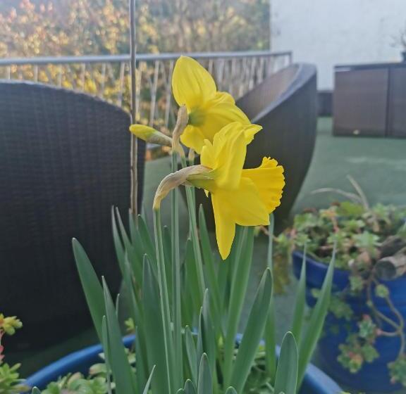 דירה בת חדר שינה 1 עם נוף, Chambres D Hôtes Chez Valérie