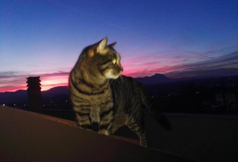 استودیو خانوادگی, Colle Dell Ara