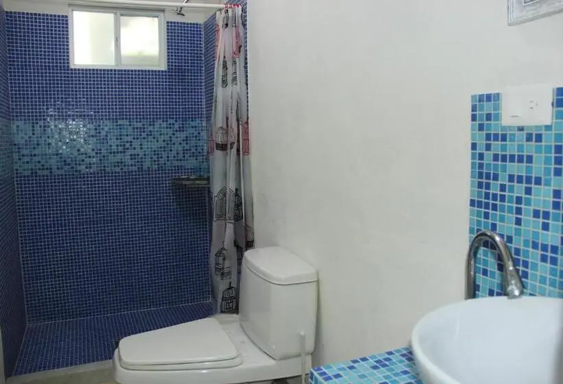 スタンダードスタジオ, Cancun Blue Airport