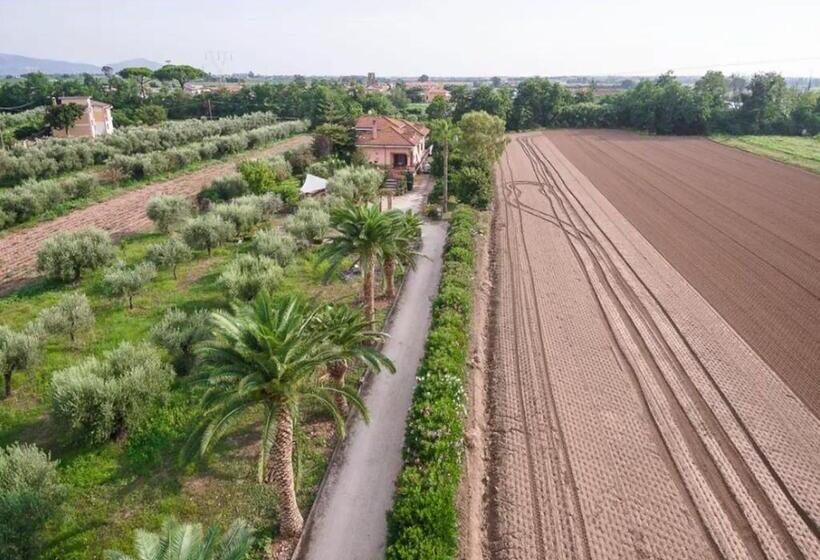 جناح ديلوكس, Villa Rosa Lifestyle B&b