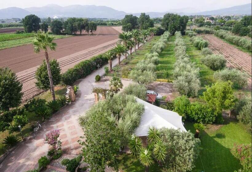Люкс Повышенной Комфортности, Villa Rosa Lifestyle B&b