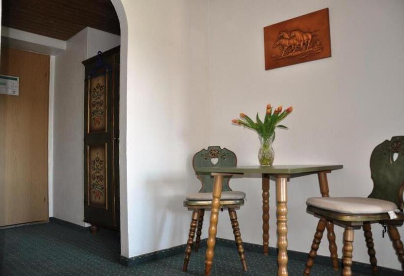 Номер Стандарт, Pension Hirsch