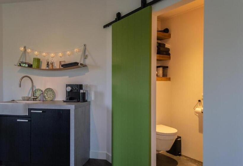 غرفة قياسية, T Rheebokje