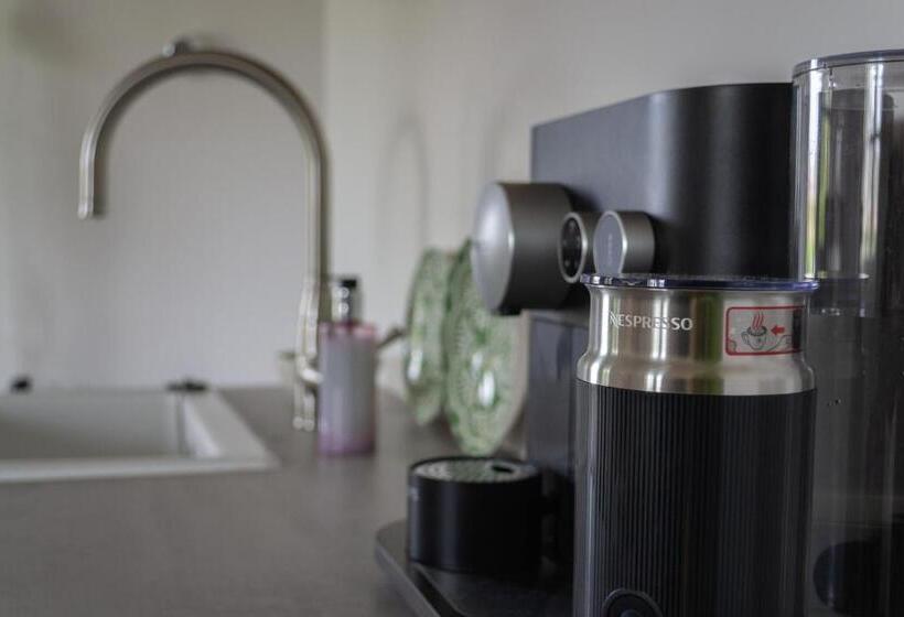 غرفة قياسية, T Rheebokje