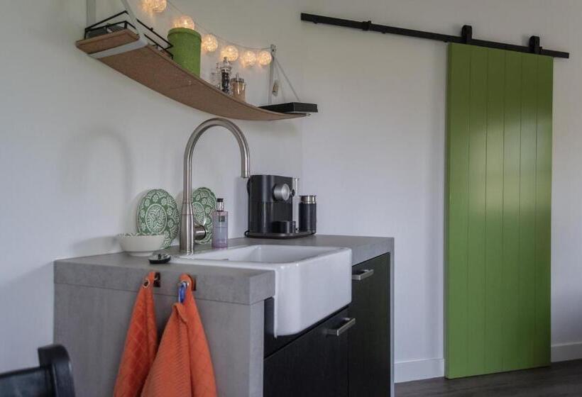 غرفة قياسية, T Rheebokje