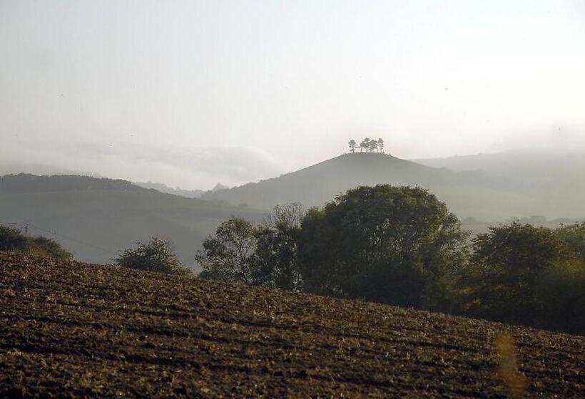 اتاق لوکس, Colly Farm
