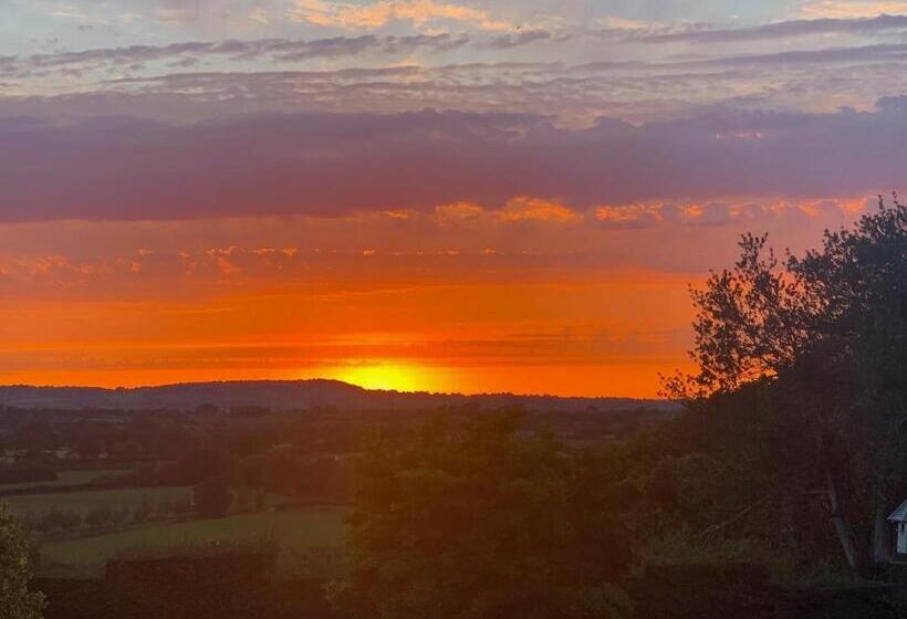 스탠다드 스튜디오 (테라스구비), Colly Farm