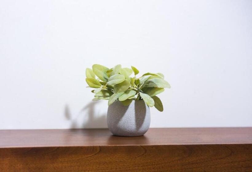 اتاق استاندارد با سرویس بهداشتی مشترک, Casa La Feria   Céntrico