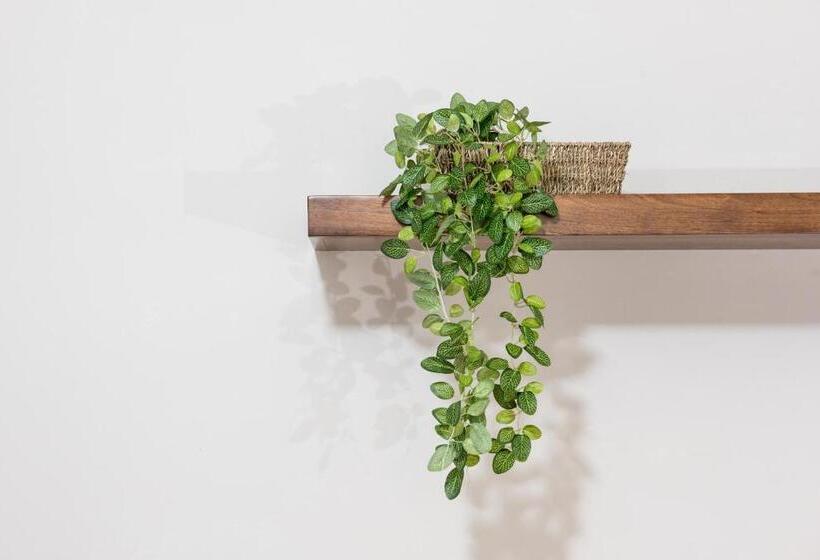 اتاق استاندارد با سرویس بهداشتی مشترک, Casa La Feria   Céntrico