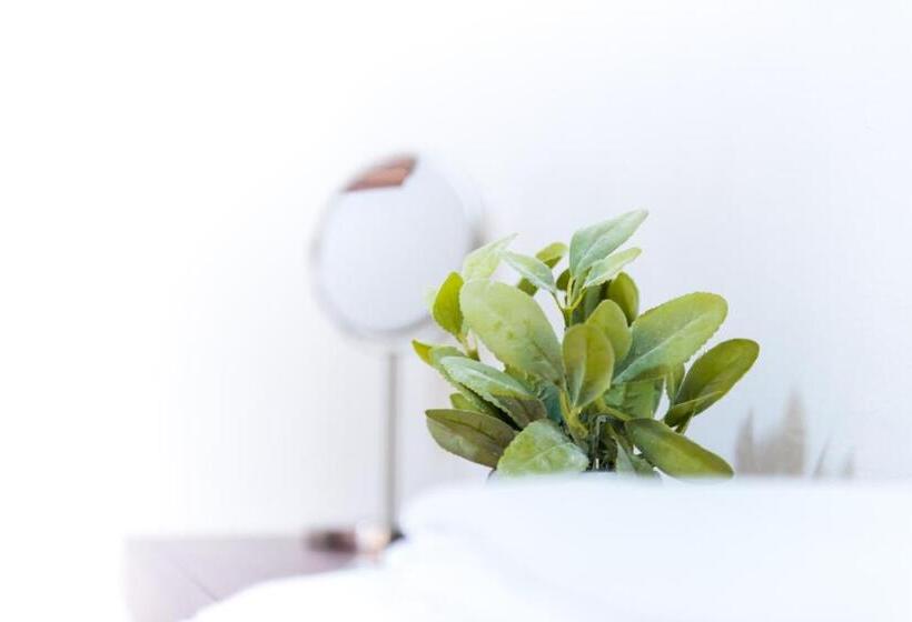 اتاق استاندارد با سرویس بهداشتی مشترک, Casa La Feria   Céntrico