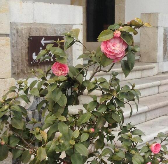 스탠다드 룸, Granda