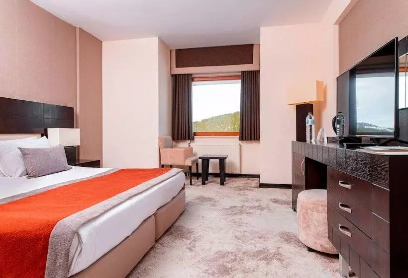 Deluxe Room Mountain View, Monte Baia Uludağ