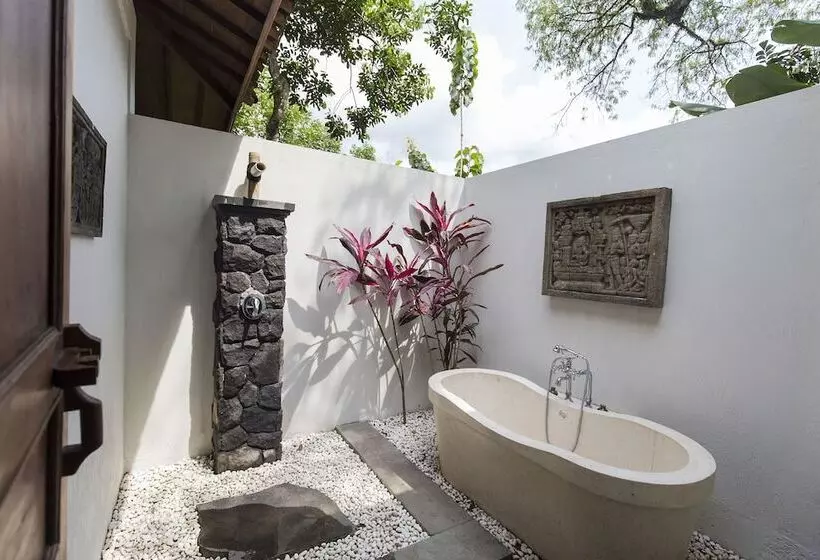 Villa 1 Yatak Odalı ve Yüzme Havuzlu, Plataran Borobudur