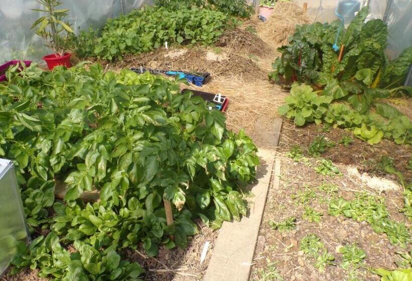 带2个卧室的套房, Les Terrasses