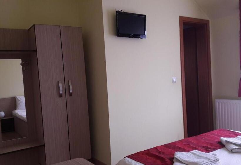 חדר סטנדרט עם מיטת קינג, Pensiunea Eli