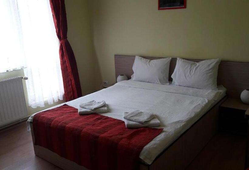 חדר סטנדרט עם מיטת קינג, Pensiunea Eli