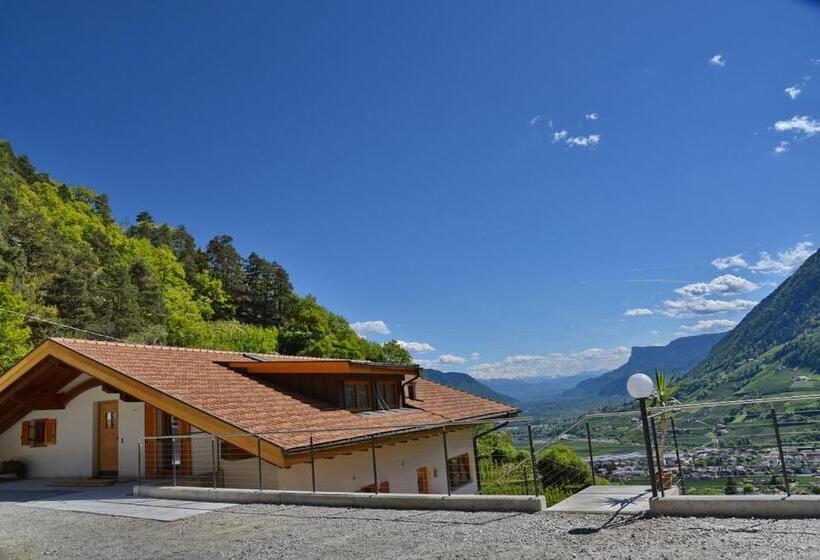Апартаменты 3 Спальни, Residence Blumenthalerhof