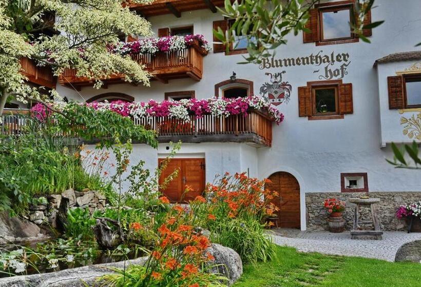 דירת שני חדרים, Residence Blumenthalerhof