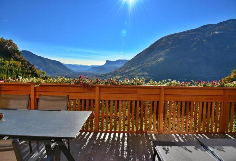 דירת חדר דלוקס, Residence Blumenthalerhof