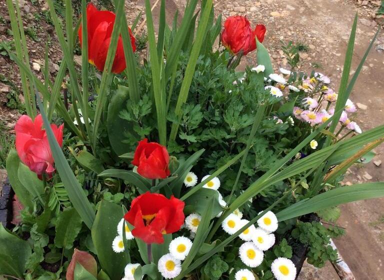 Номер Economy, Guest Room B&b Agro Turismo Quinta Da Fonte