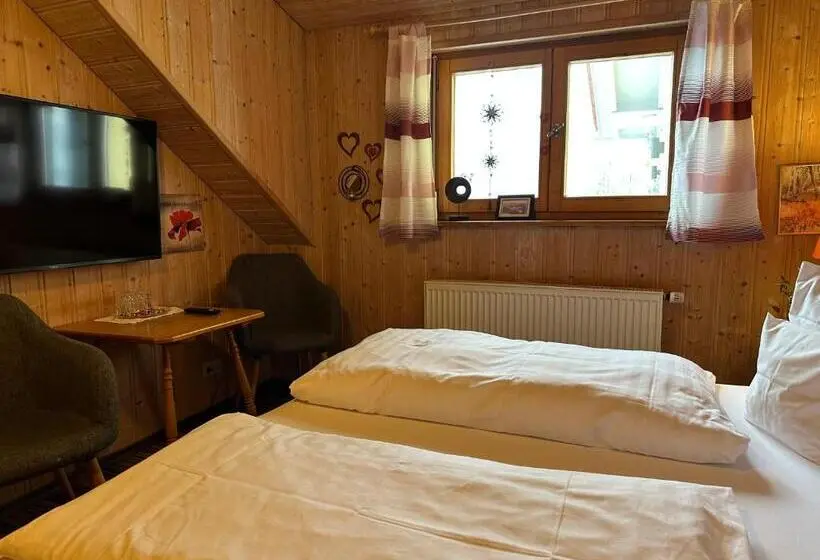 Camera Standard, Maier Pension