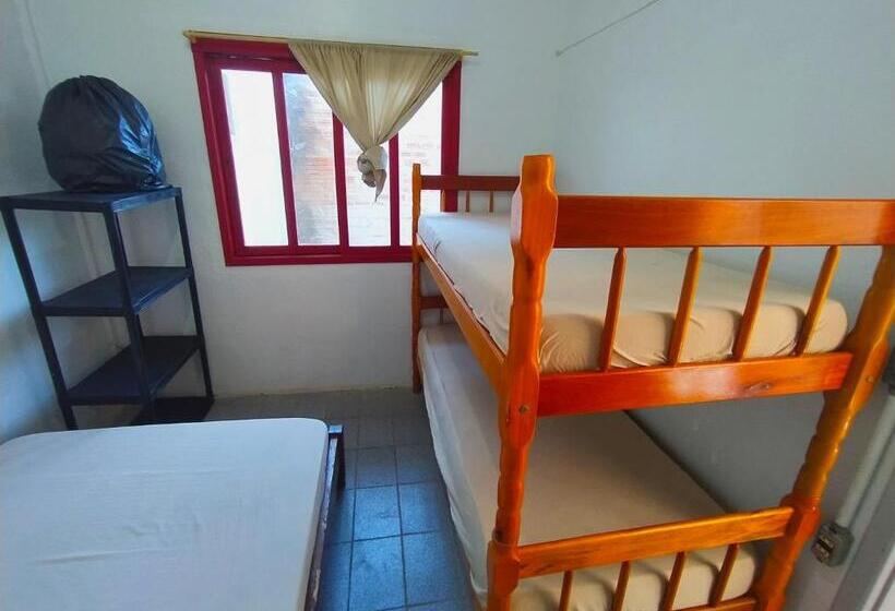 家庭间, Pousada Colibris