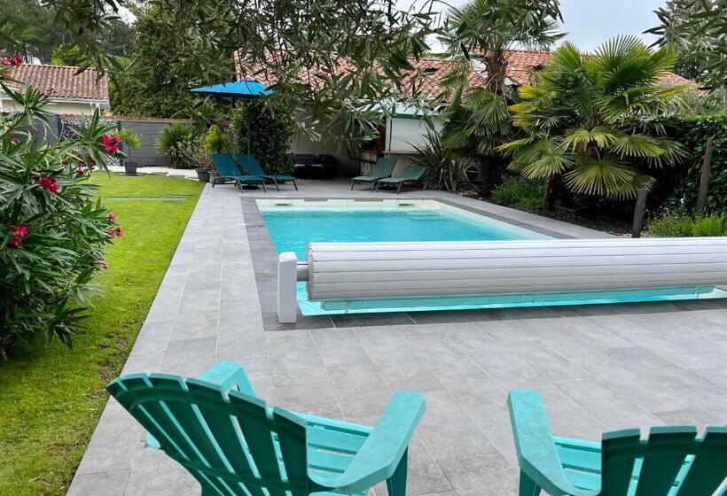 סטודיו סטנדרט נוף לים, O Pintxo