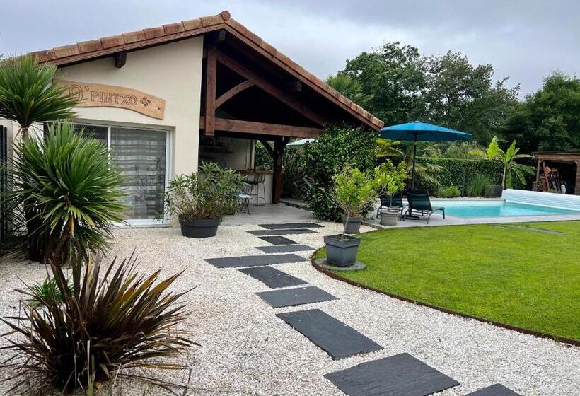 סטודיו סטנדרט נוף לים, O Pintxo