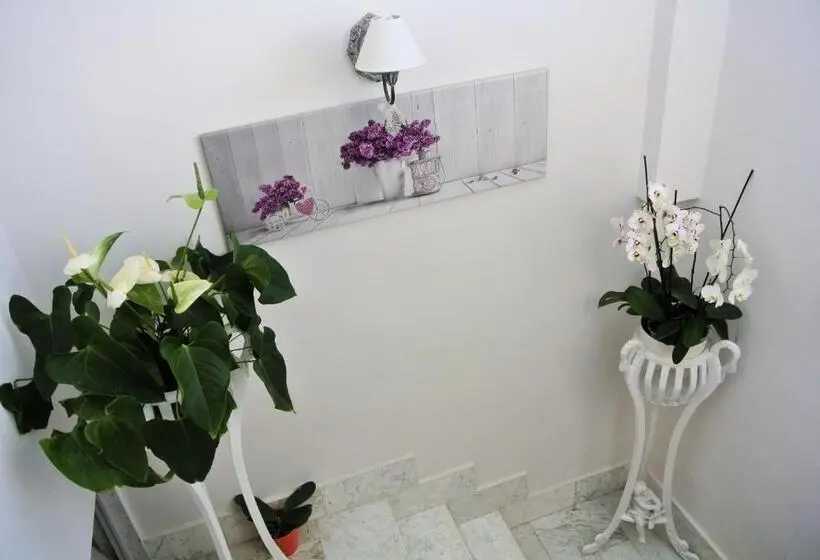 Standard-huone, Almasol