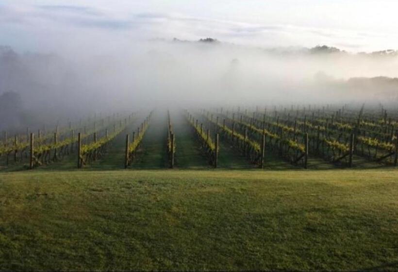 سوییت لوکس, Frogs Pond