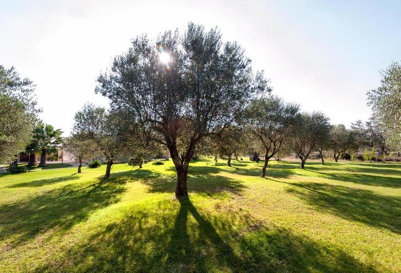 스탠다드 트리플 룸 풀장 전망, Olive Garden House