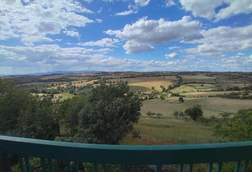 غرفة قياسية مزوَّدة بشُرفة, Trindade Coelho