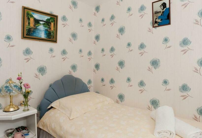 غرفة قياسية فردية حمام مشترك, Birtley House Guest House B&b