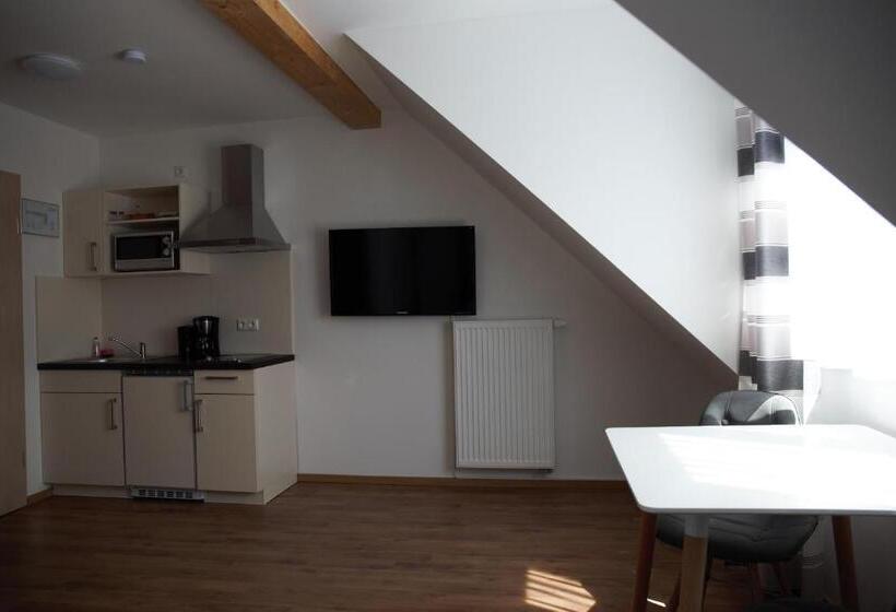 اتاق استاندارد یک نفره, Pension Sonntag Ferienwohnungen