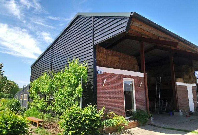 디럭스 룸, Raafjeshof   B&b