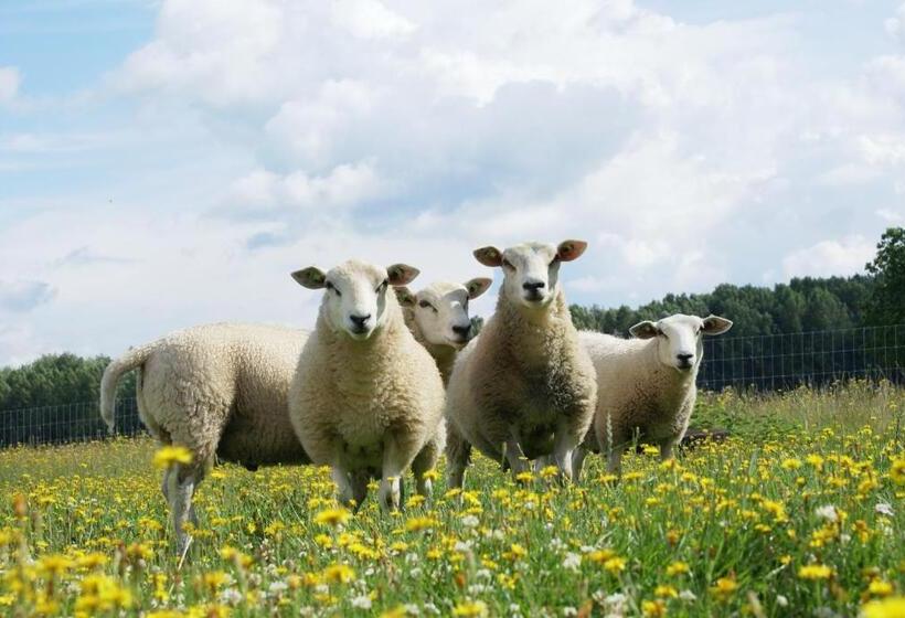 شقة غرفة نوم واحدة بالطابق الأرضى, Raafjeshof   B&b