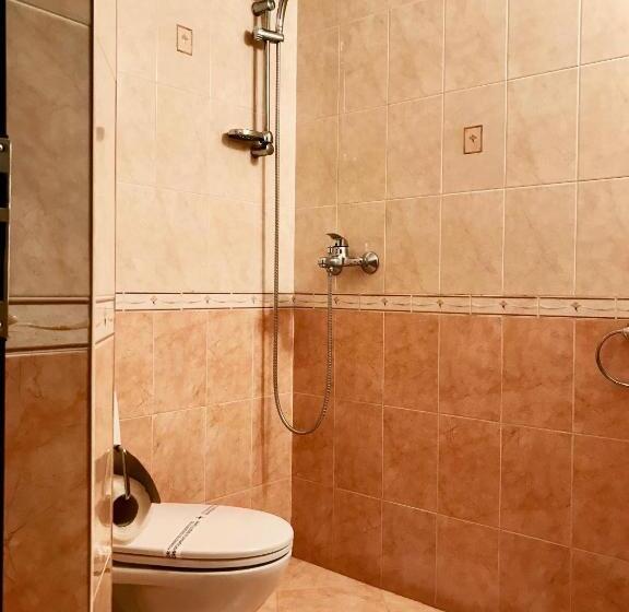 Номер Стандарт Индивидуальный с Балконом, Daf Trans