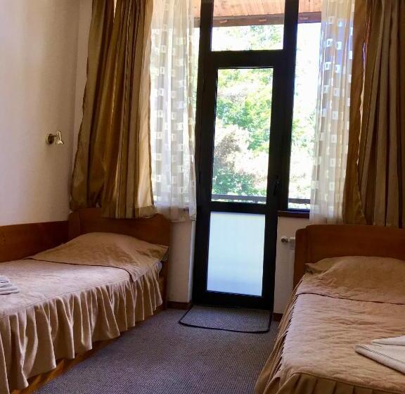 Номер Стандарт с Террасой, Daf Trans