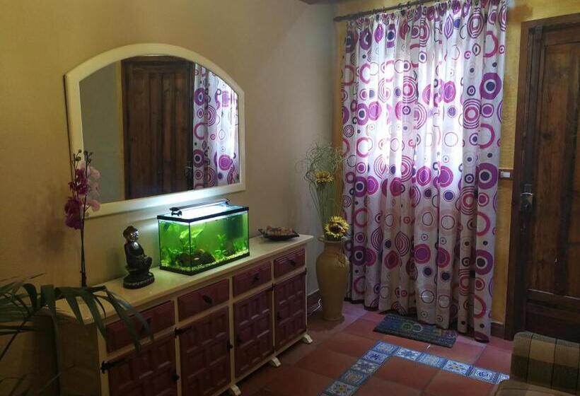 חדר סטנדרד יחיד חדר אמבטיה משותף, Guest House Casa Tacoronte