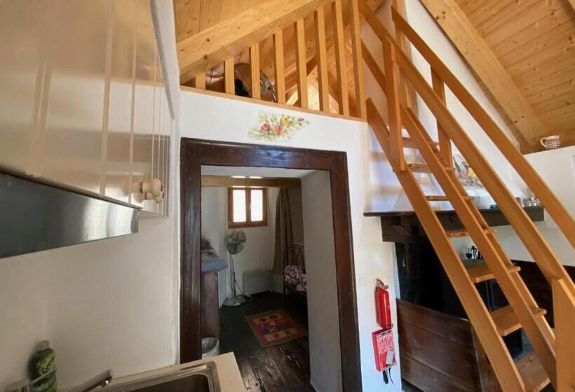 Casa 2 Camere da Letto, Rustici Maggia