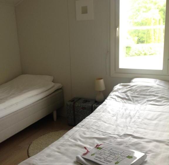 דירת שני חדרים, Dag 15