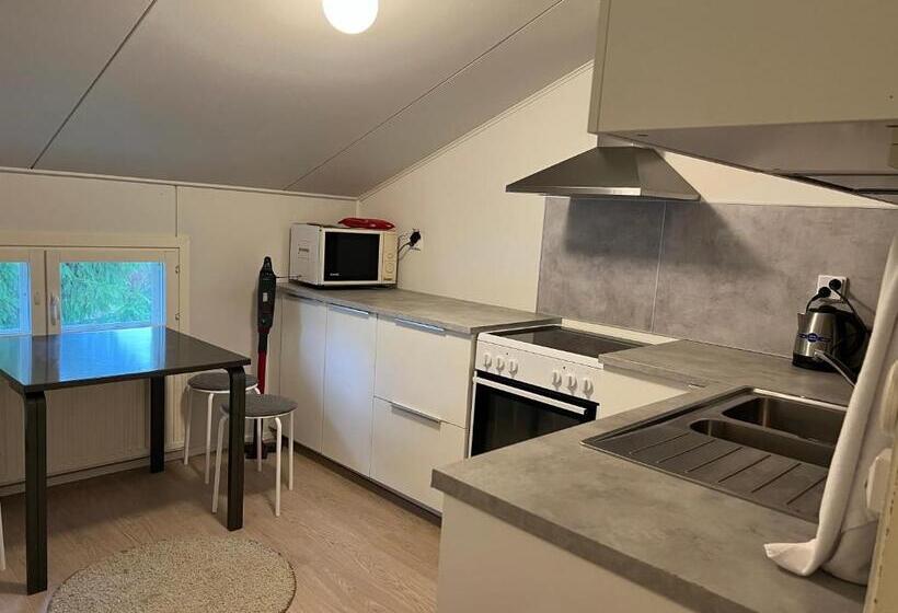 דירת שני חדרים, Dag 15