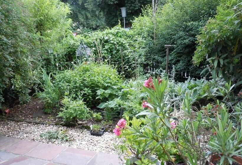 1ベッドルームアパートメント, Appartementhaus Dargham