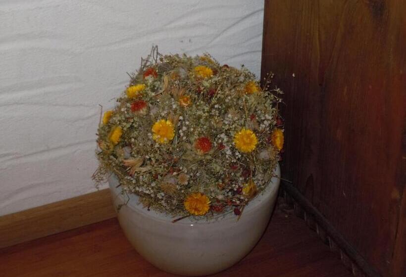 1ベッドルームアパートメント, Appartementhaus Dargham