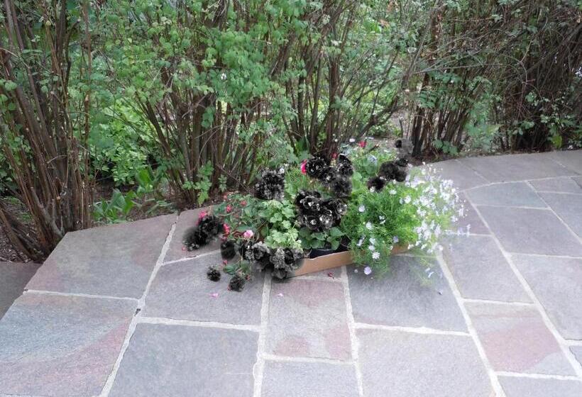 1ベッドルームアパートメント, Appartementhaus Dargham