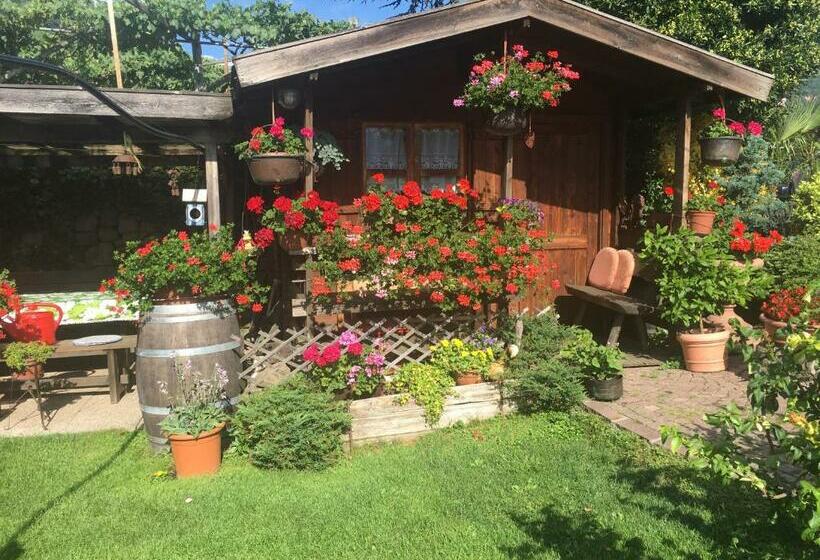 آپارتمان 1 خوابه, Weingut Zundlhof