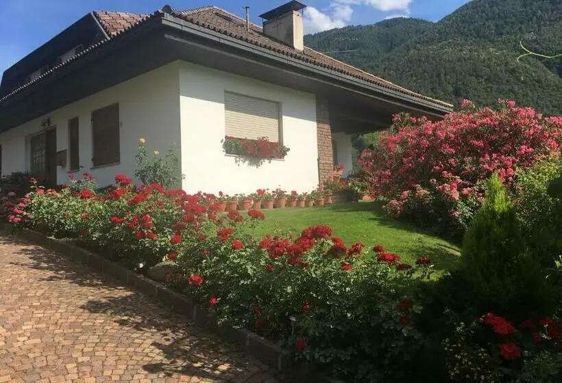 آپارتمان 1 خوابه, Weingut Zundlhof